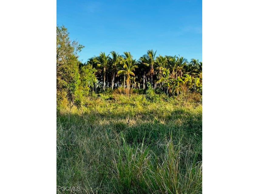 7465 7448 7421 Max Drive Bokeelia FL 33922 2025024074 image5