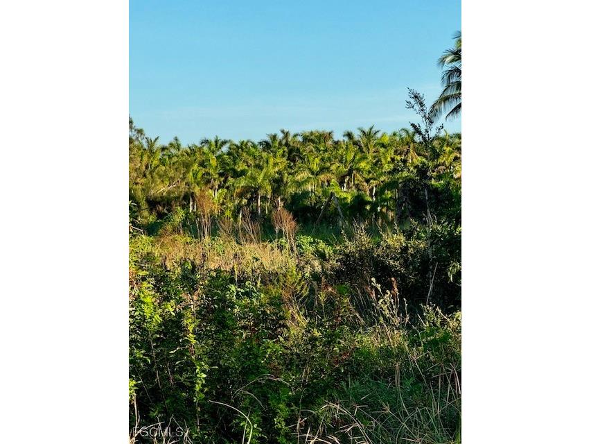 7465 7448 7421 Max Drive Bokeelia FL 33922 2025024074 image6
