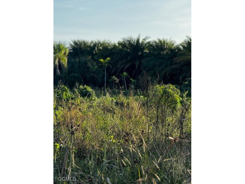 7465 7448 7421 Max Drive Bokeelia FL 33922 2025024074 image9