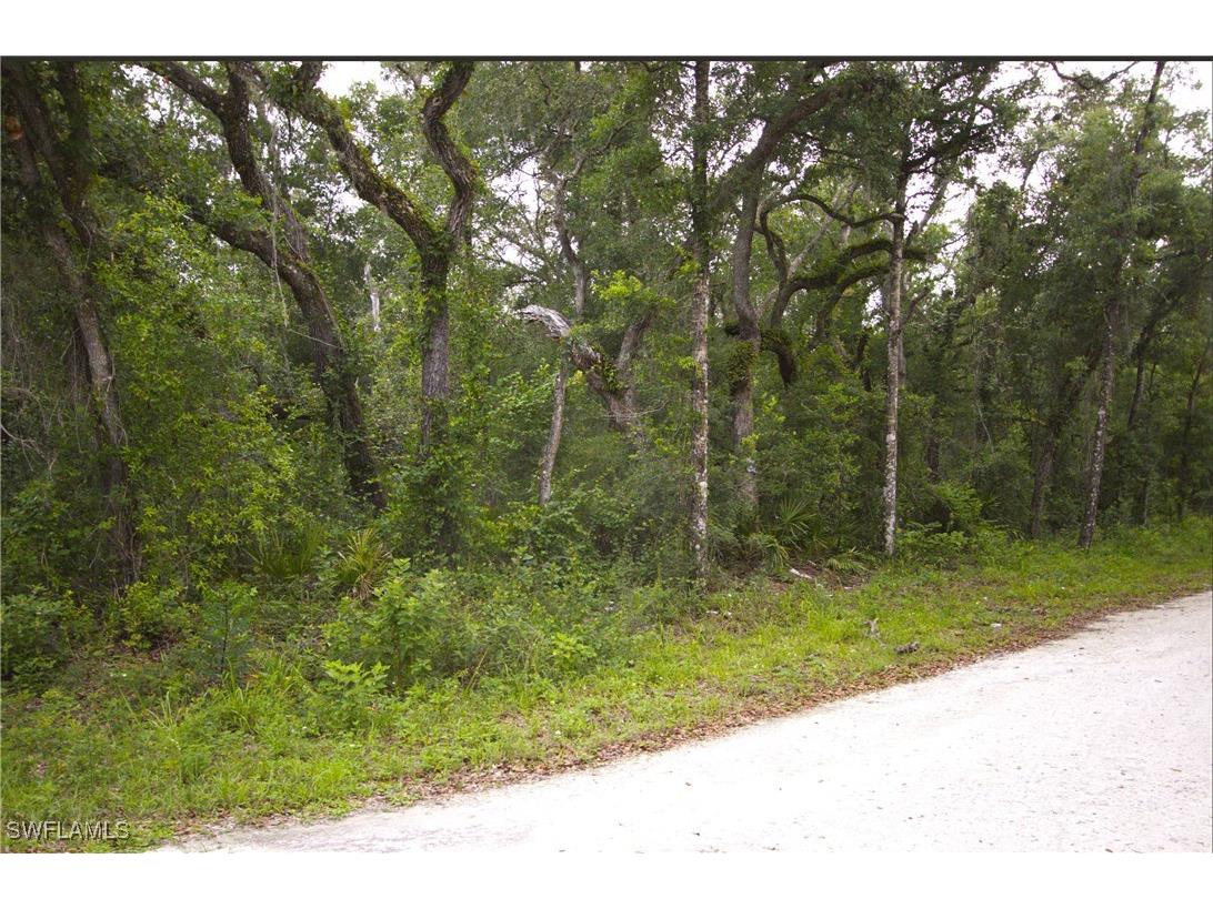 7466 Northwest Avenue Webster FL 33597 225053914 image2