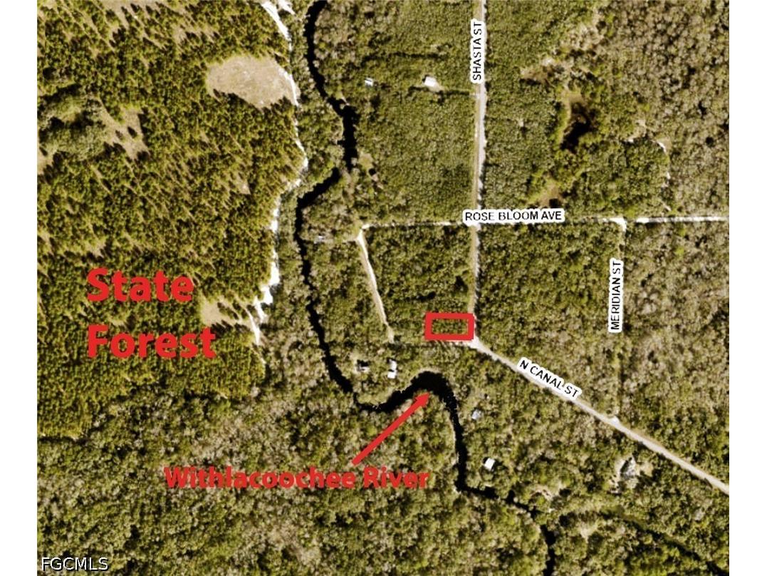 7475 Shasta Street Webster FL 33597 2026028093 image2