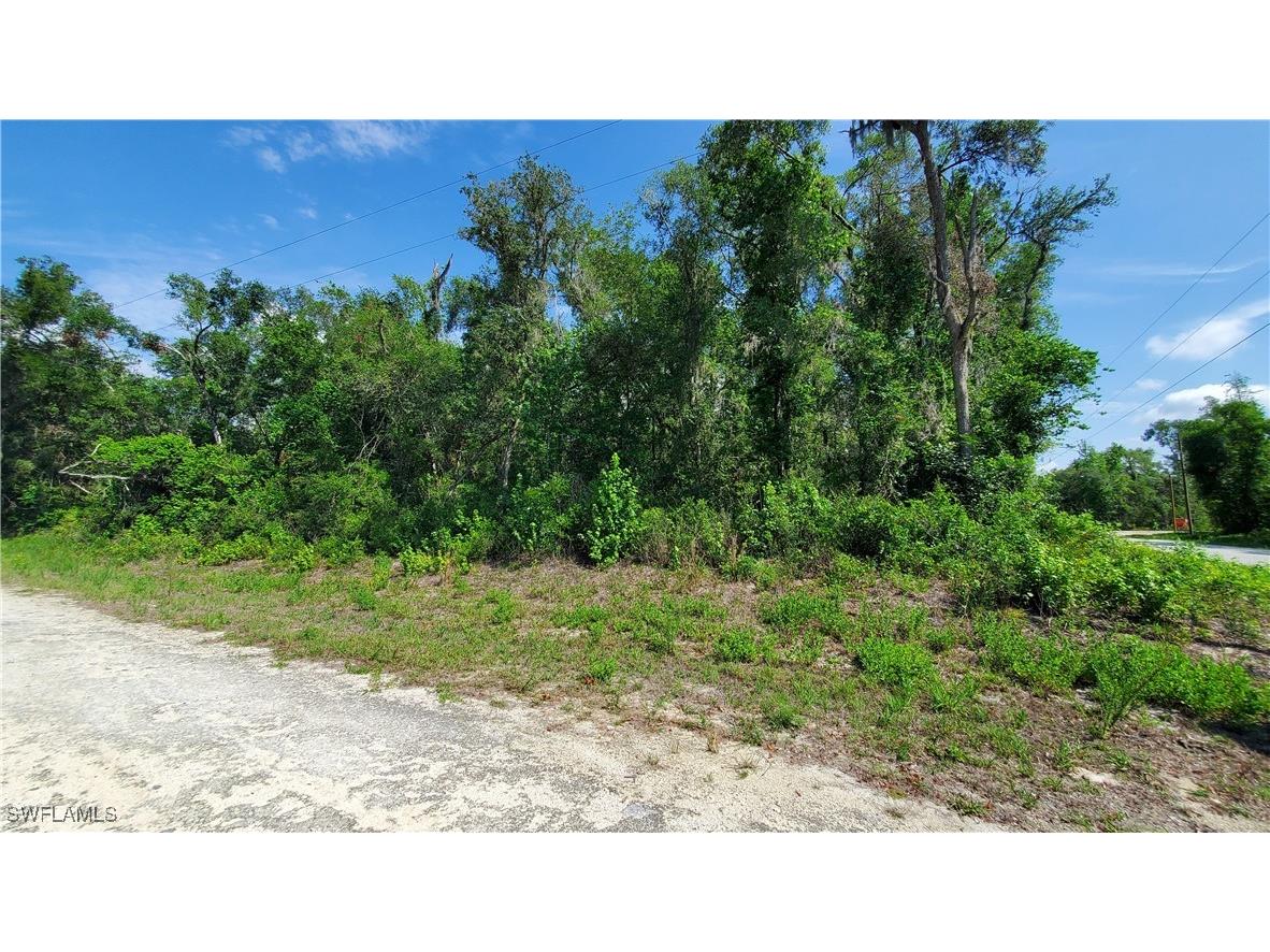 7475 Shasta Street Webster FL 33597 225053911 image3