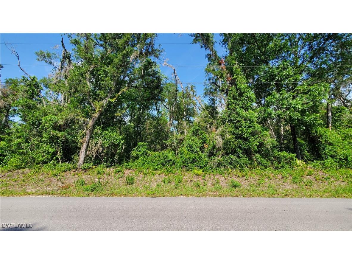 7475 Shasta Street Webster FL 33597 225053911 image4