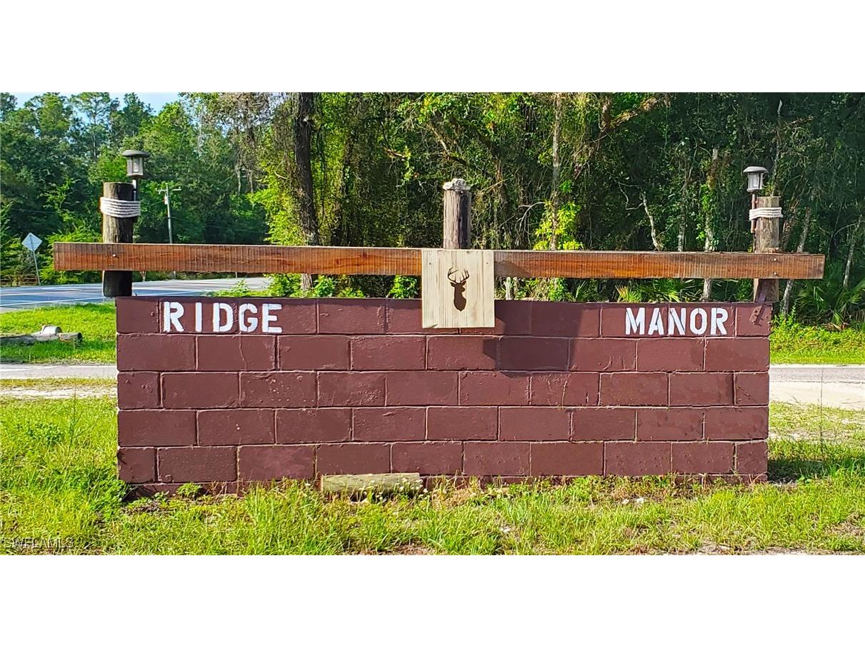 7475 Shasta Street Webster FL 33597 225053911 image8