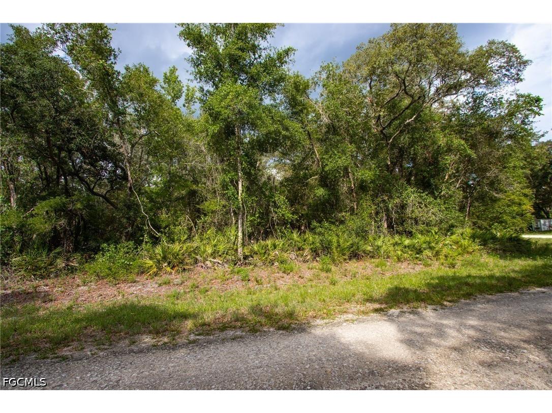 7478 N Canal Street Webster FL 33597 2026028094 image8