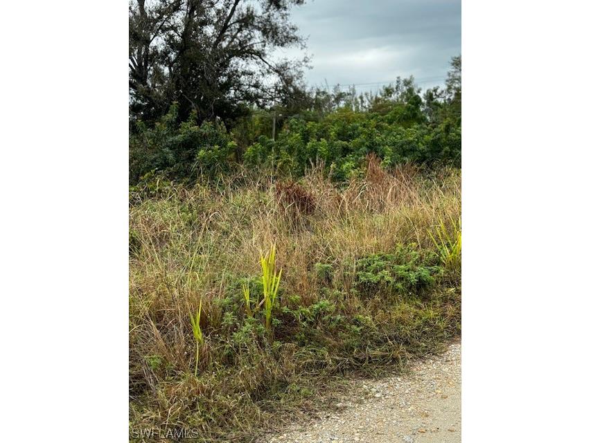 7489 Max Drive Bokeelia FL 33922 224006081 image6