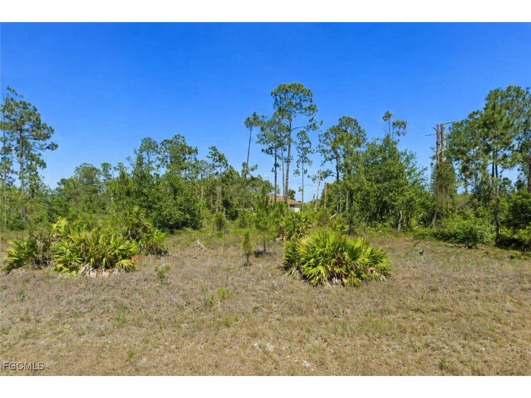 749 Anaconda Avenue S Lehigh Acres FL 33974 2026006626 image1