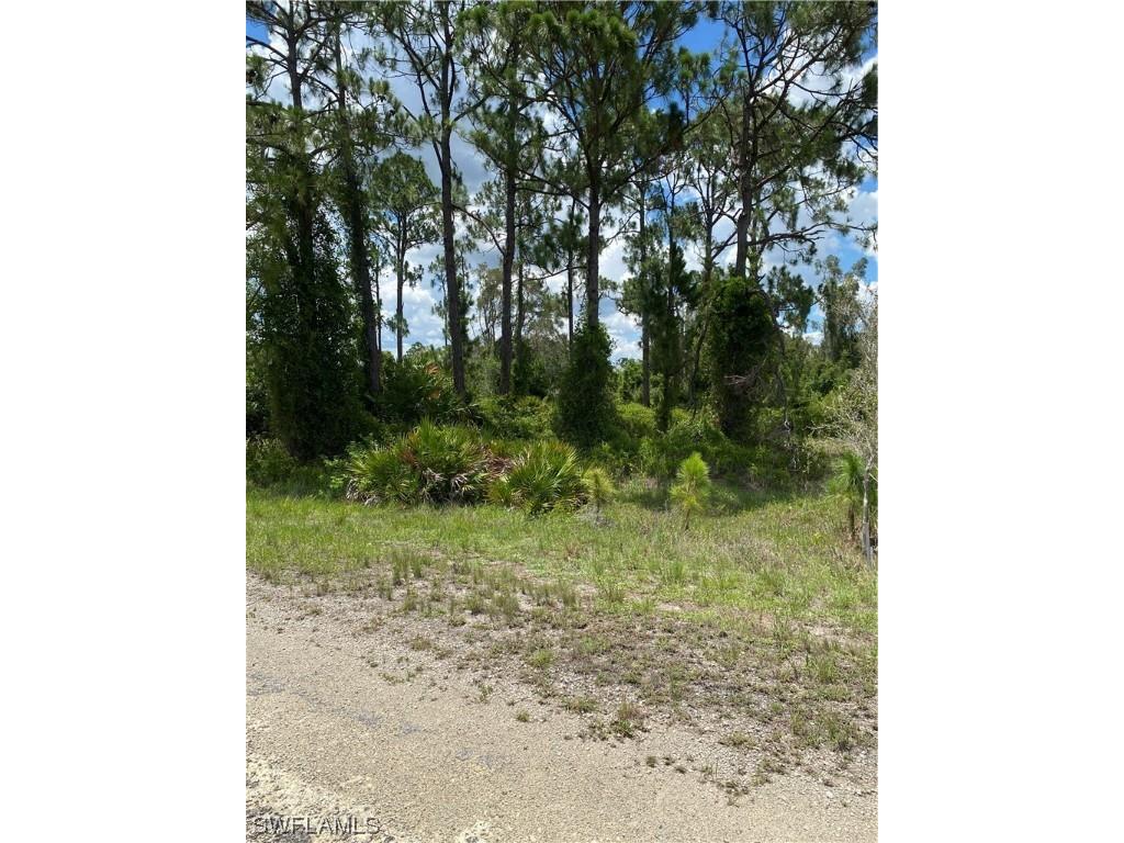 749 Bobolink Avenue Lehigh Acres FL 33974 223043587 image1
