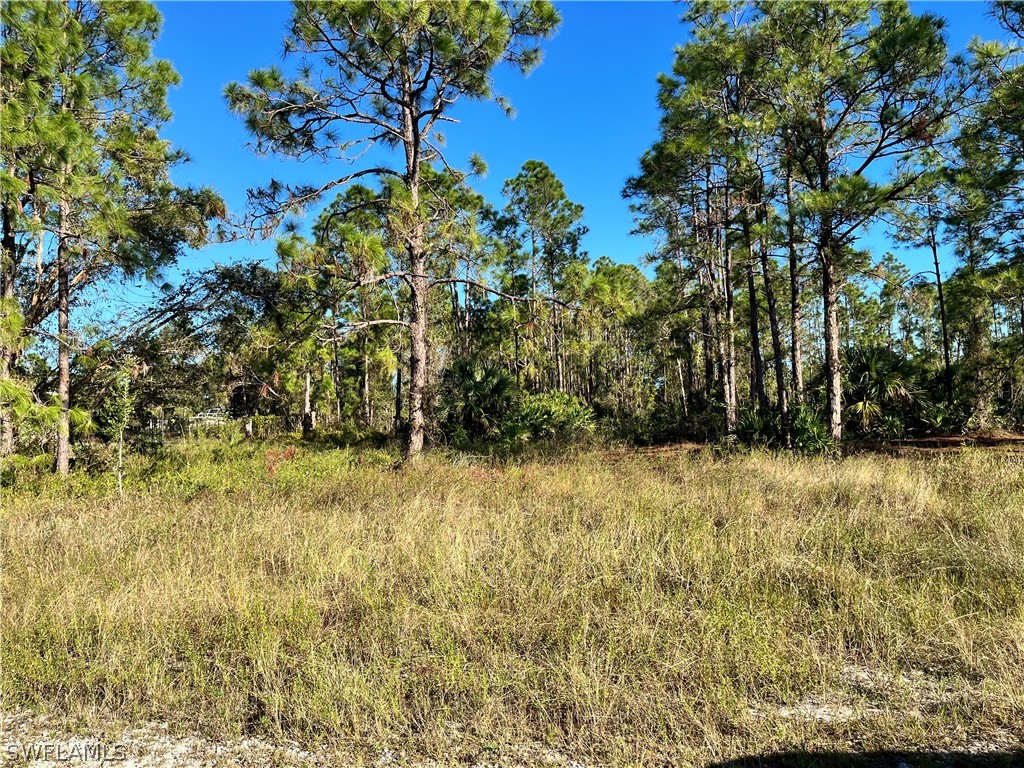 749 Langford Street Lehigh Acres FL 33974 222084813 image1