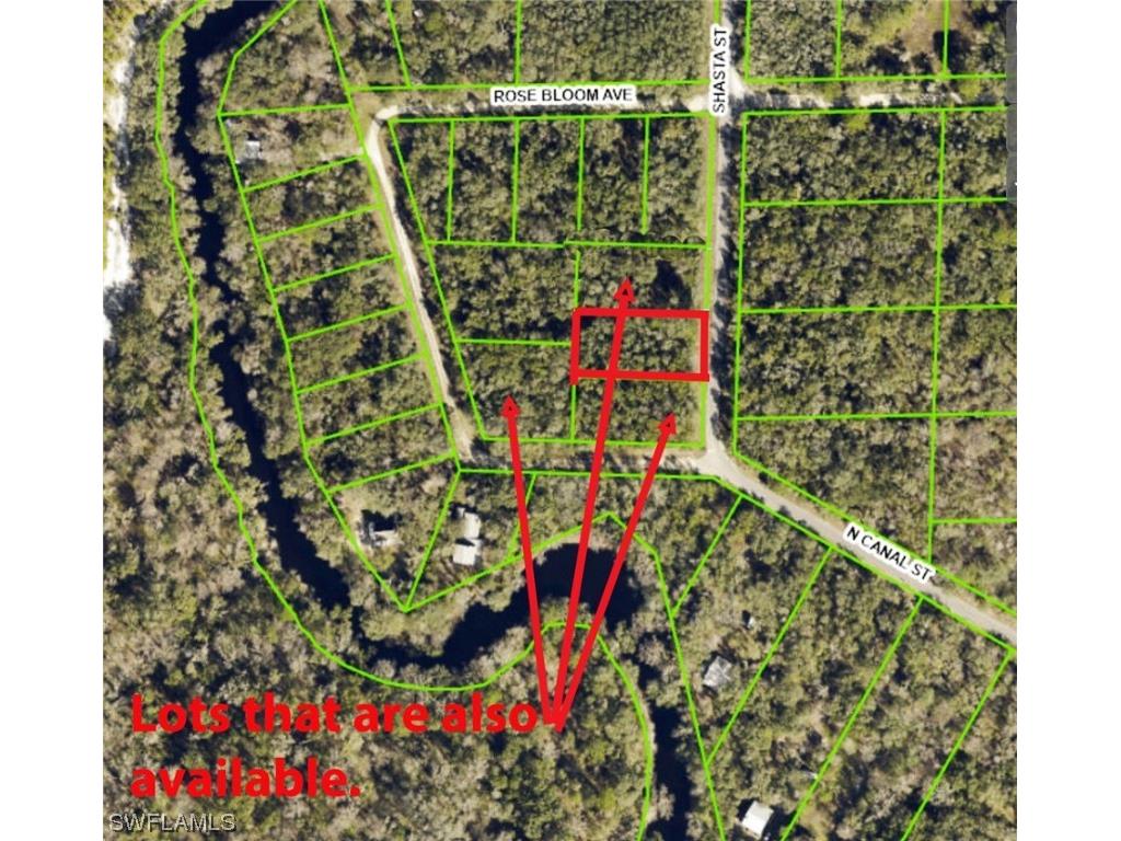 7491 Shasta Street Webster FL 33597 223041838 image3