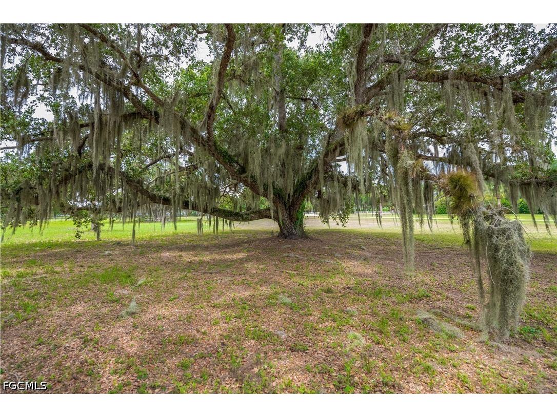 75 Ft Denaud Bridge Way Labelle FL 33935 2026020054 image8