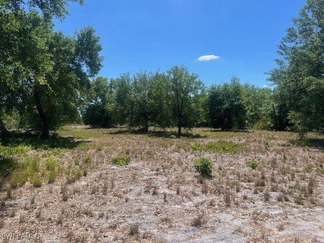 7500 23rd Terrace Labelle FL 33935 225031857 image4