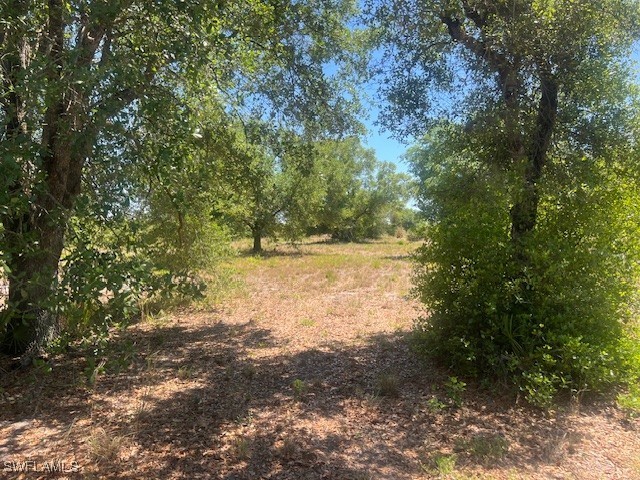 7500 23rd Terrace Labelle FL 33935 225031857 image6