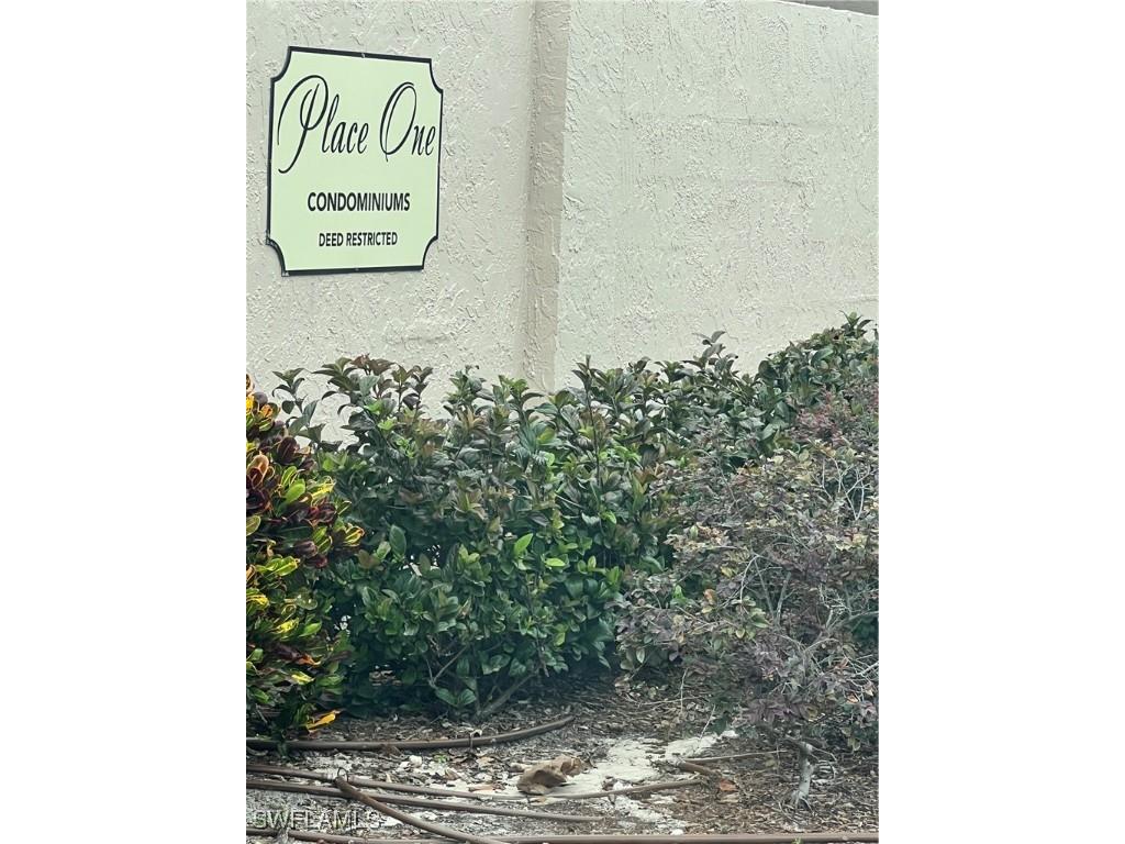 7509 Pitch Pine Circle S #121 Tampa FL 33617 225083235 image4