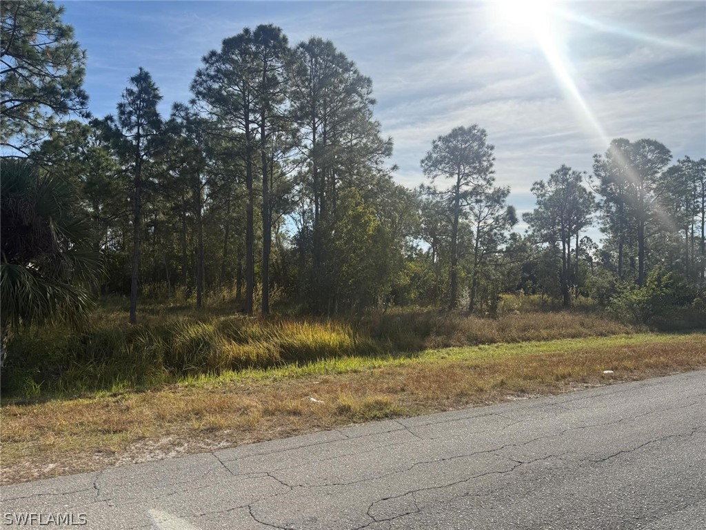 753/755 Eisenhower Boulevard Lehigh Acres FL 33974 226009958 image3