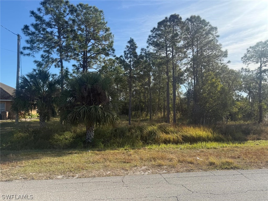 753/755 Eisenhower Boulevard Lehigh Acres FL 33974 226009958 image4