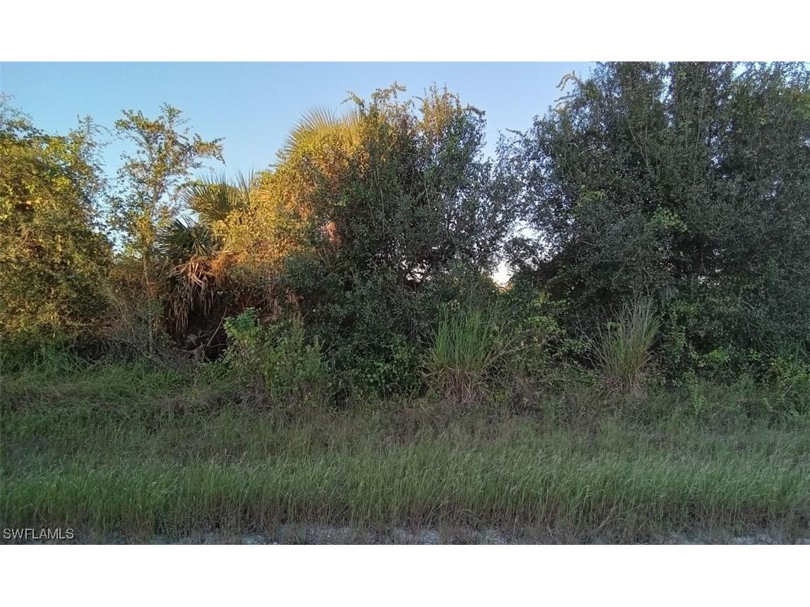 753 Chelsea Avenue S Lehigh Acres FL 33974 224006275 image1