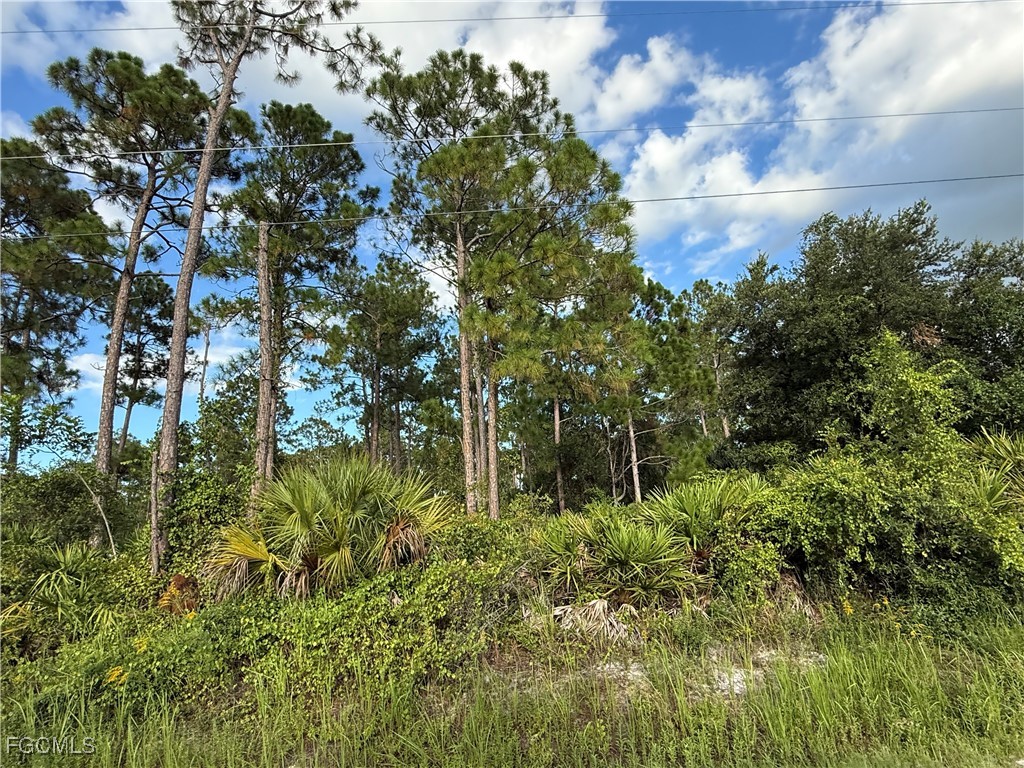 755 S Palm Street Clewiston FL 33440 2025007412 image10