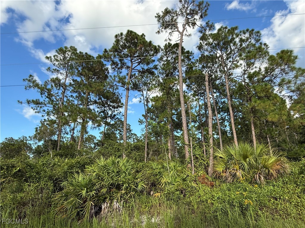 755 S Palm Street Clewiston FL 33440 2025007412 image11