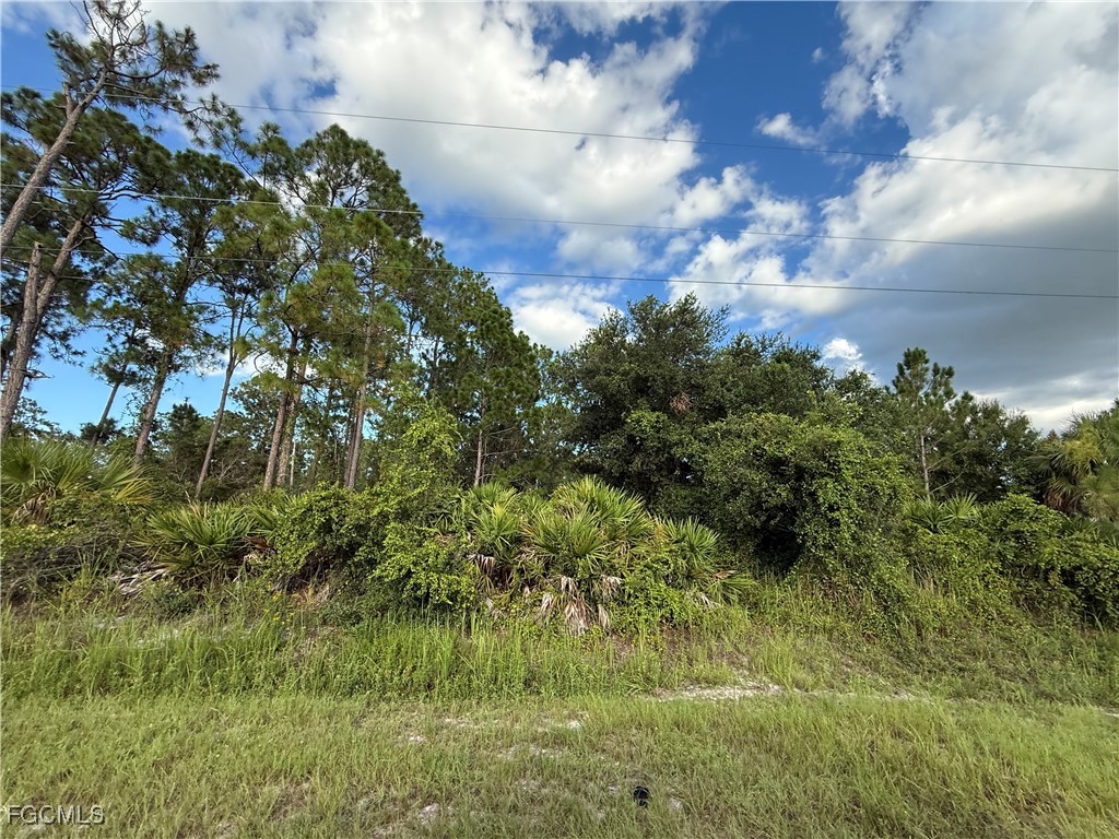 755 S Palm Street Clewiston FL 33440 2025007412 image3