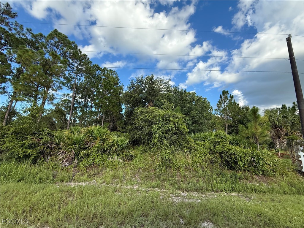 755 S Palm Street Clewiston FL 33440 2025007412 image4