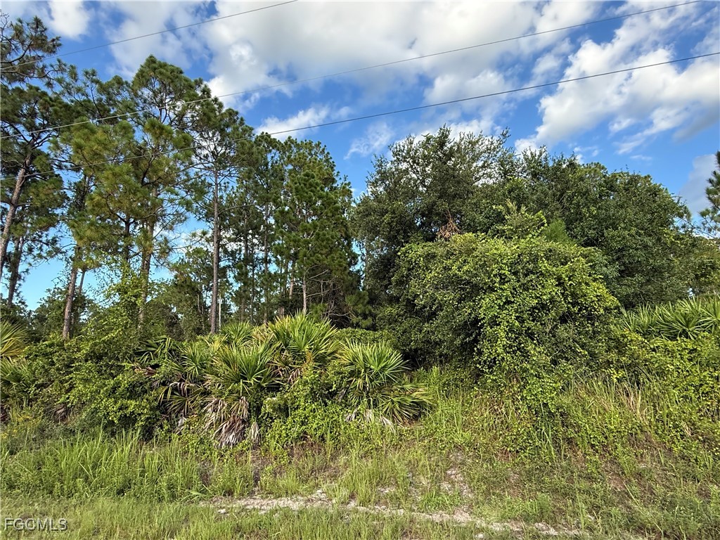 755 S Palm Street Clewiston FL 33440 2025007412 image7