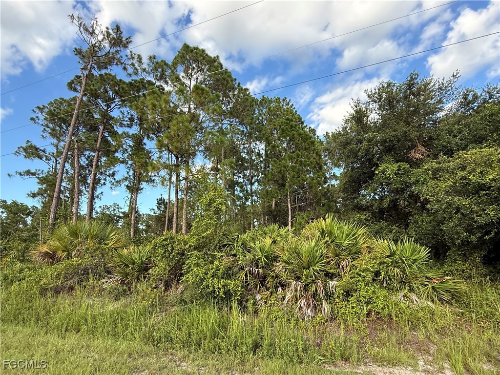 755 S Palm Street Clewiston FL 33440 2025007412 image8