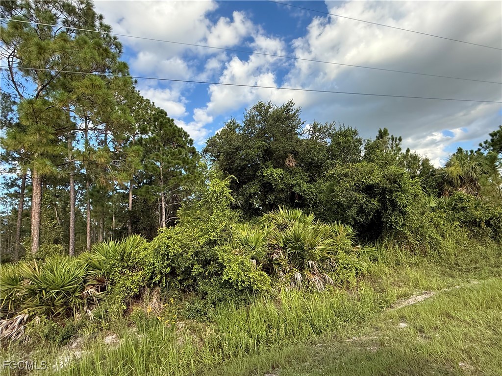 755 S Palm Street Clewiston FL 33440 2025007412 image9