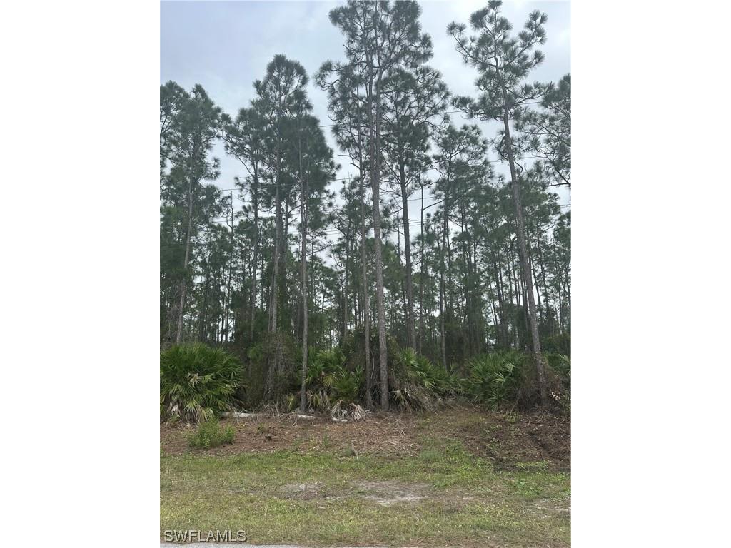 757 Barclay Avenue Lehigh Acres FL 33974 224004170 image1