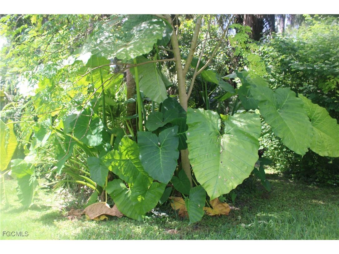 760 1st Street NW Naples FL 34120 2025002369 image21