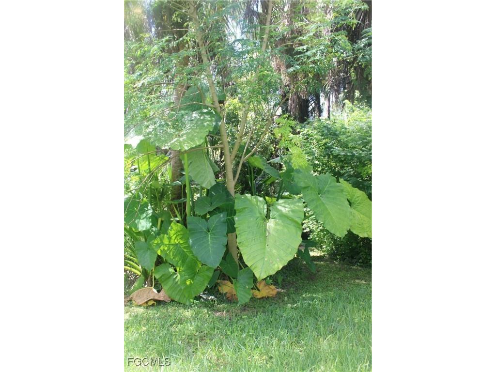 760 1st Street NW Naples FL 34120 2025002369 image22