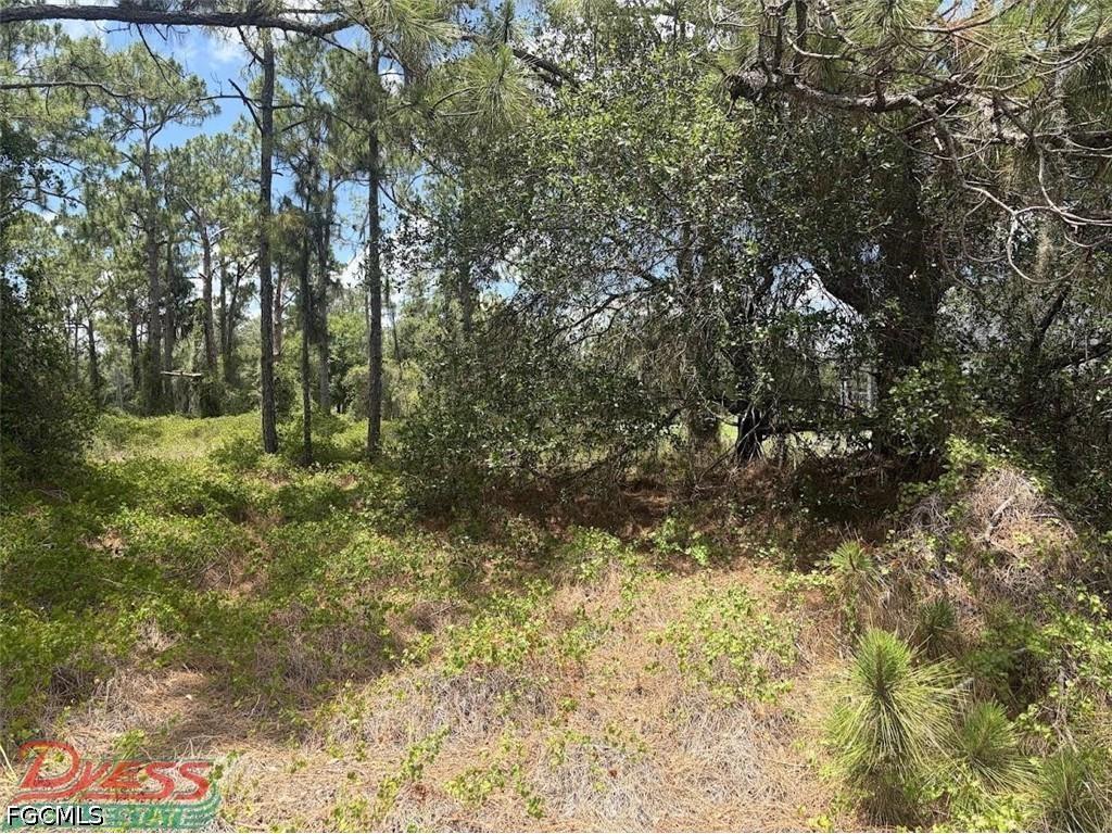 760 & (755 N Isora St) N Jinete Street Clewiston FL 33440 2026011522 image5