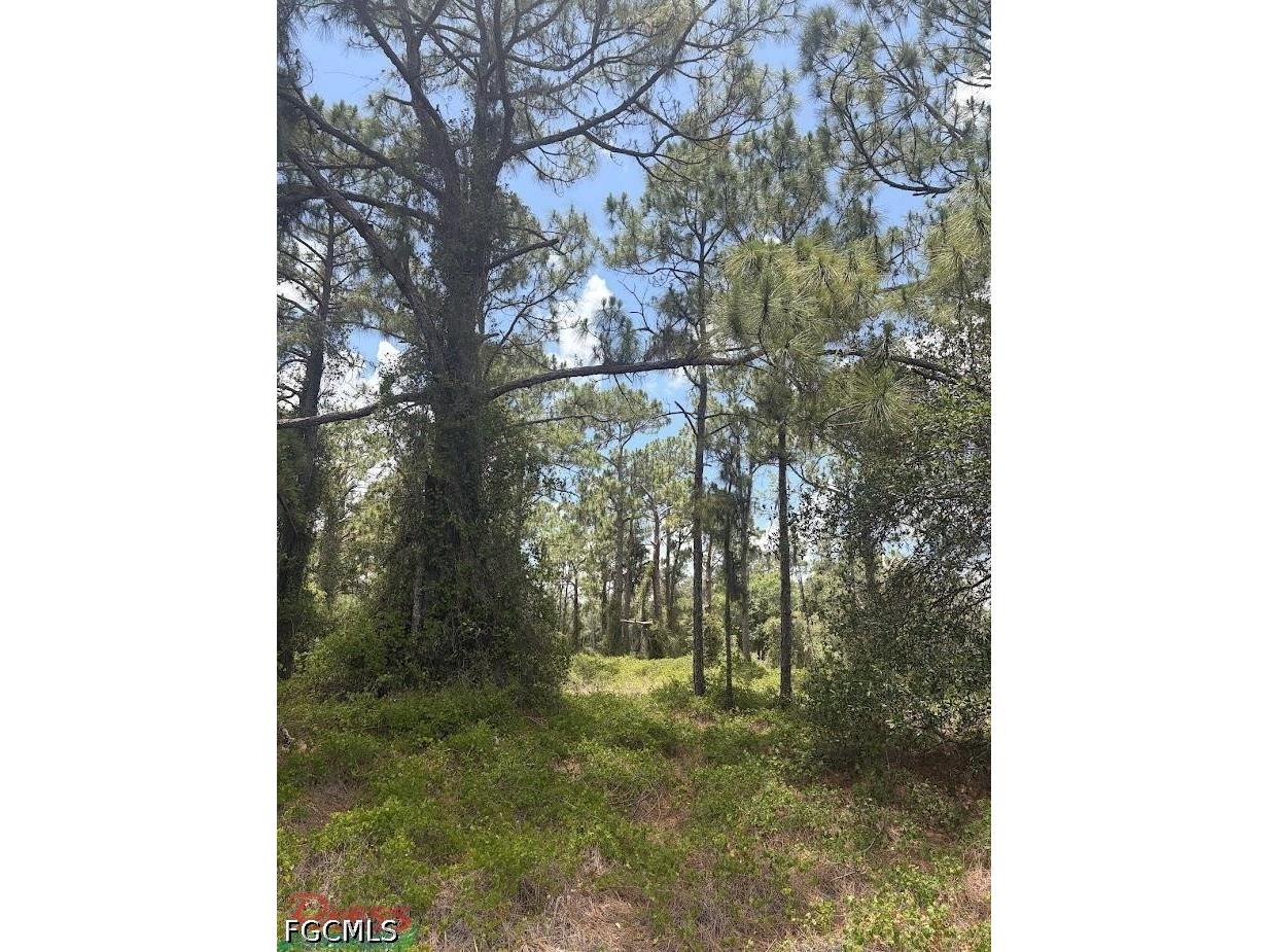 760 & (755 N Isora St) N Jinete Street Clewiston FL 33440 2026011522 image6