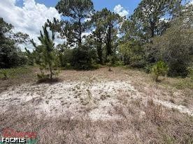 760 & (755 N Isora St) N Jinete Street Clewiston FL 33440 2026011522 image7