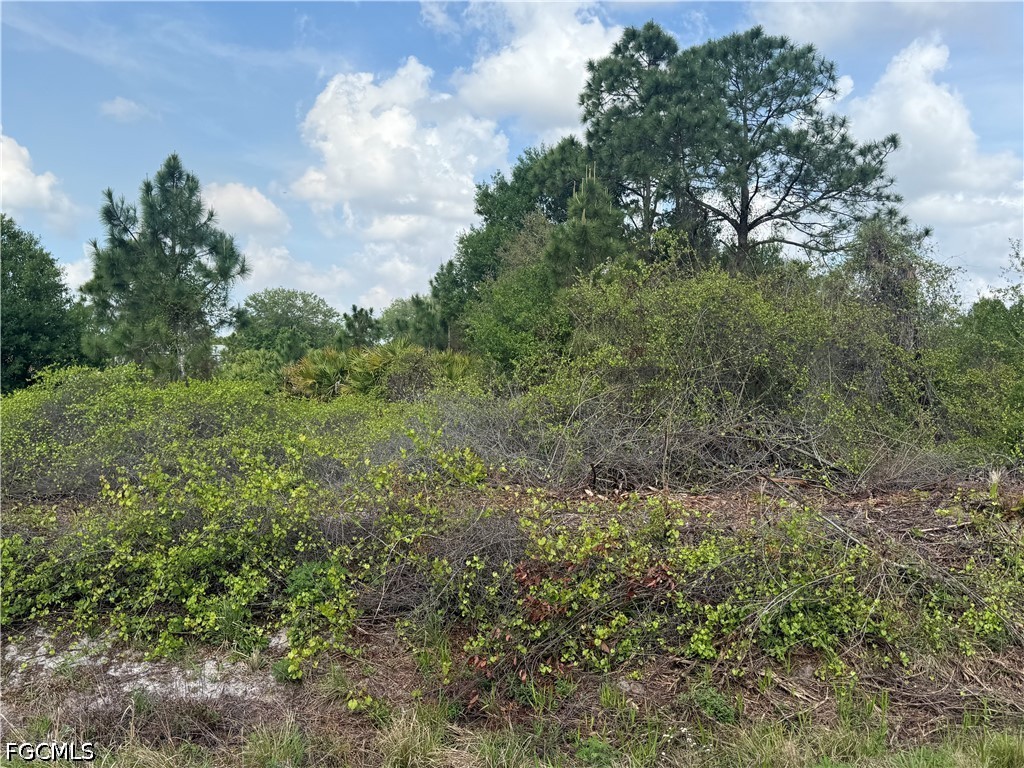 760 N Nogal Street Clewiston FL 33440 2026019062 image3