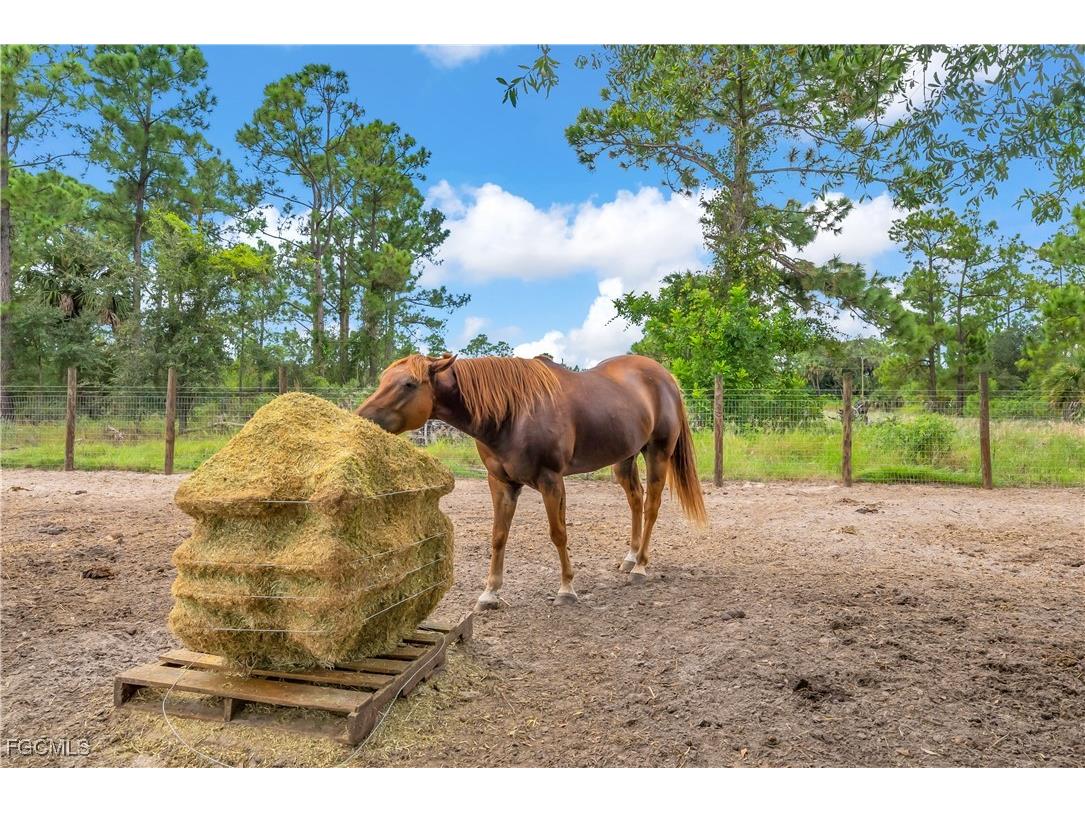 7602 18th Place Labelle FL 33935 2025012545 image25