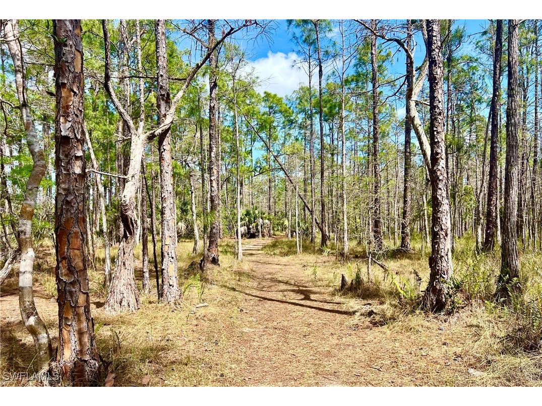 7615 Arbor Lakes Court #433 Naples FL 34112 225071117 image35