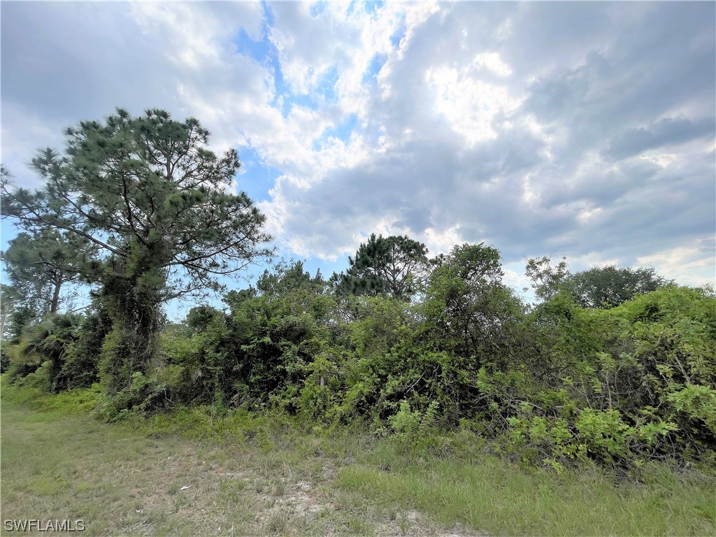 762 Andover Avenue S Lehigh Acres FL 33974 223035783 image1