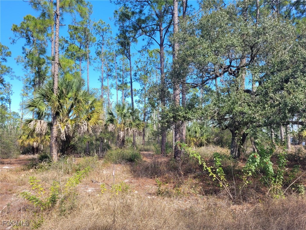 7620 19th Place Labelle FL 33935 2026005208 image1