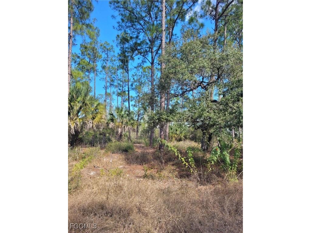 7620 19th Place Labelle FL 33935 2026005208 image3