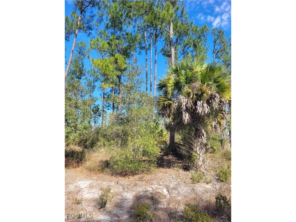 7620 19th Place Labelle FL 33935 2026005208 image4
