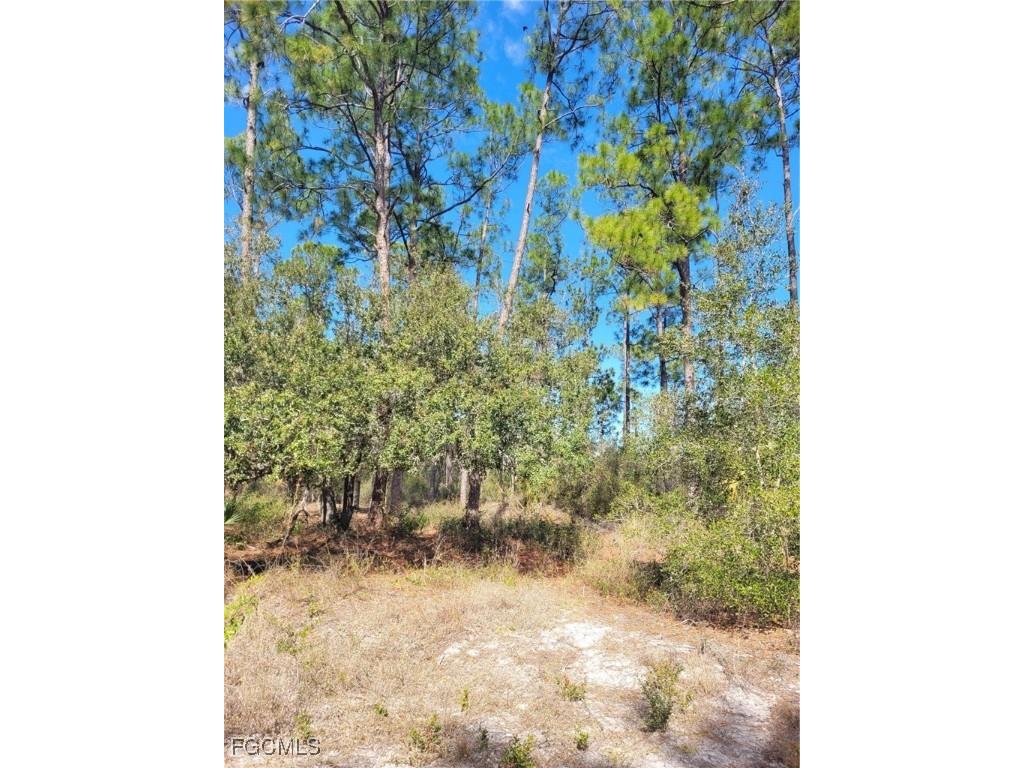 7620 19th Place Labelle FL 33935 2026005208 image5