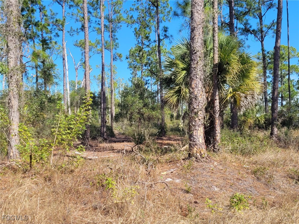 7620 19th Place Labelle FL 33935 2026005208 image6
