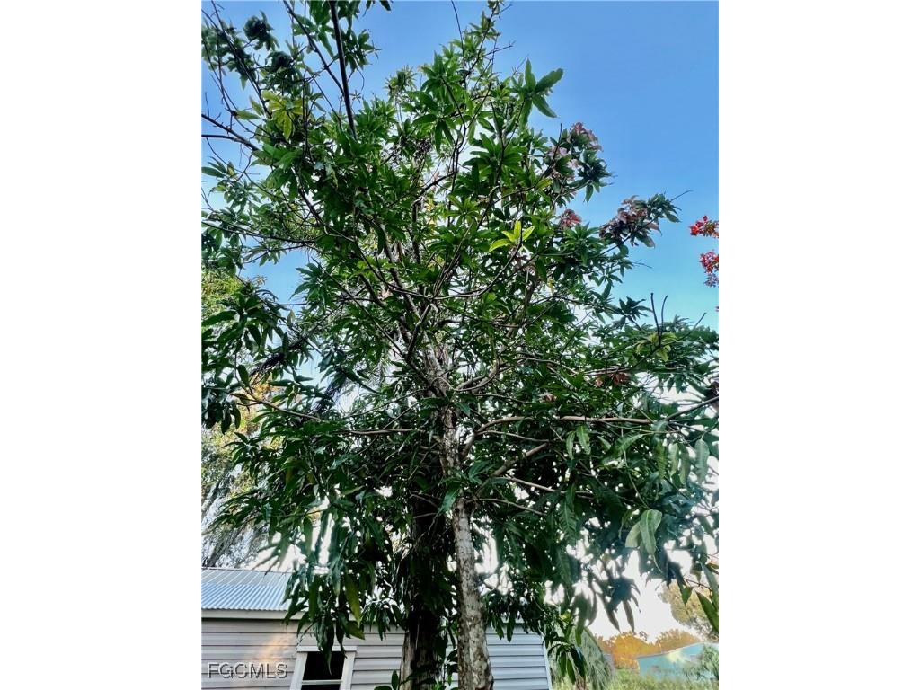 7623/7621 Breeze Drive North Fort Myers FL 33917 2025010656 image38