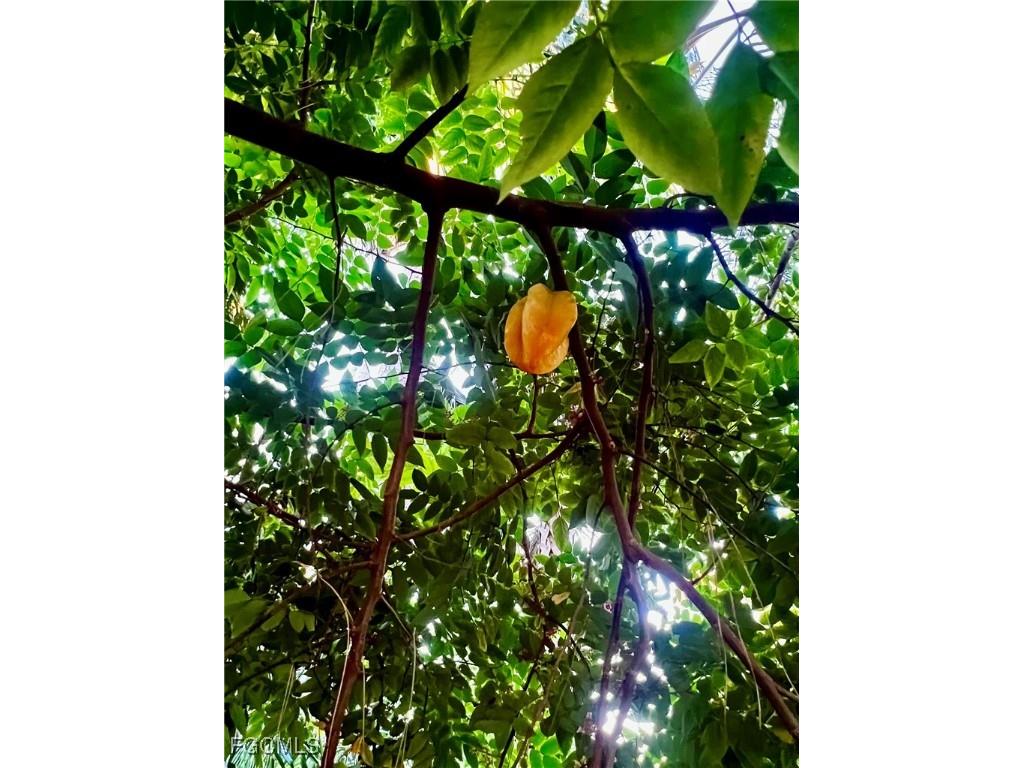 7623/7621 Breeze Drive North Fort Myers FL 33917 2025010656 image39