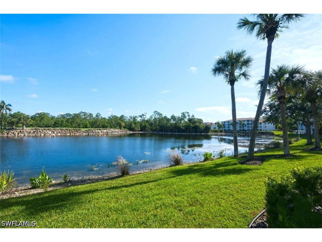7625 Arbor Lakes Court #315 Naples FL 34112 226024782 image28
