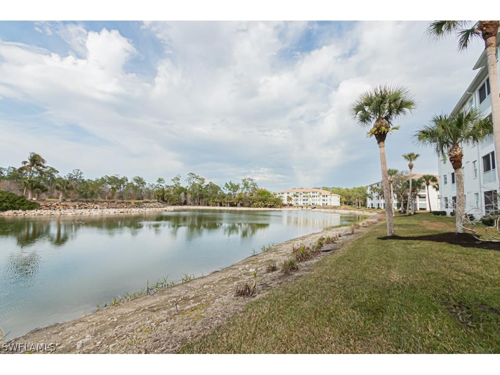 7625 Arbor Lakes Court #324 Naples FL 34112 226007120 image46