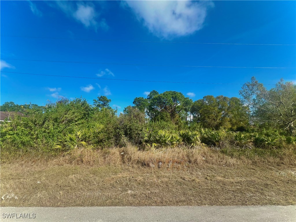 763 Clancy Street E Lehigh Acres FL 33974 225013098 image1