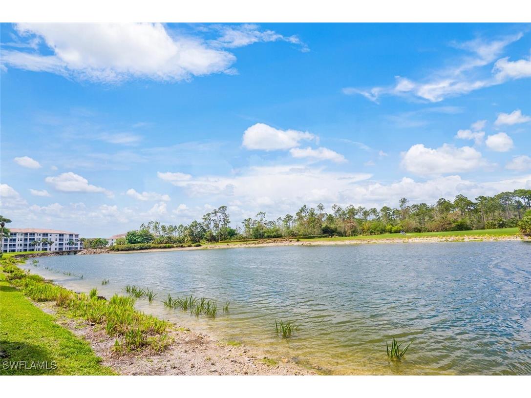 7635 Arbor Lakes Court #2423 Naples FL 34112 225084486 image25