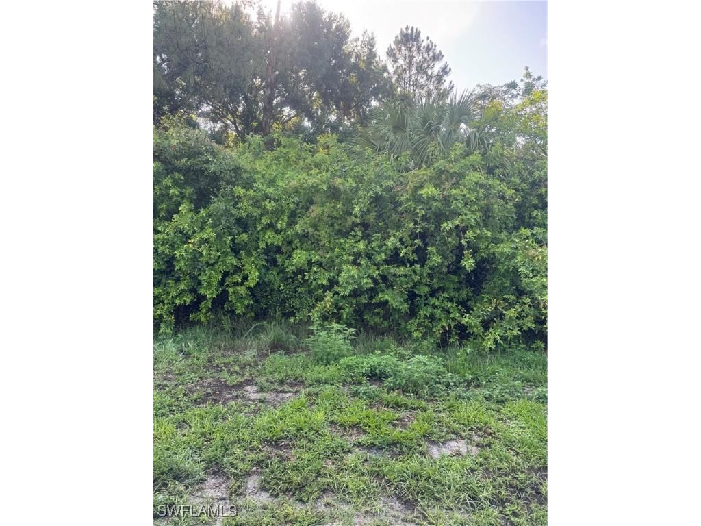 765 N Zambria Street Clewiston FL 33440 225054421 image3